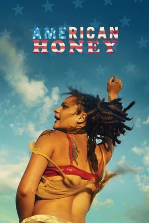 American Honey (2016) Hindi Dual Audio 720p BluRay [1.4GB] - Movierulz