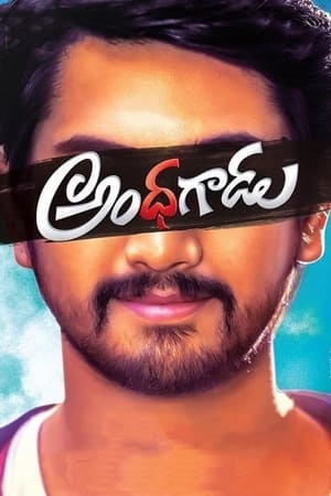 Andhhagadu 2017 Hindi Dual Audio 480p Uncut HDRip 400MB - Movierulz