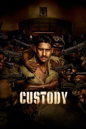 Custody 2023 Hindi (HQ-Dub) Dual Audio HDRip 720p – 480p - Movierulz
