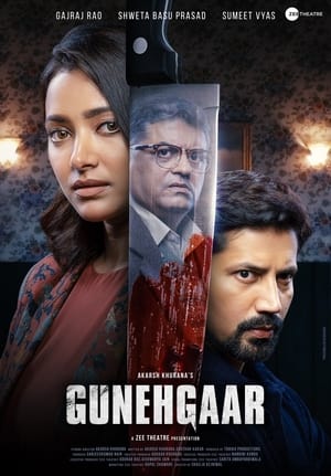 Gunehgaar (2023) Hindi HDRip | 720p | 480p - Movierulz