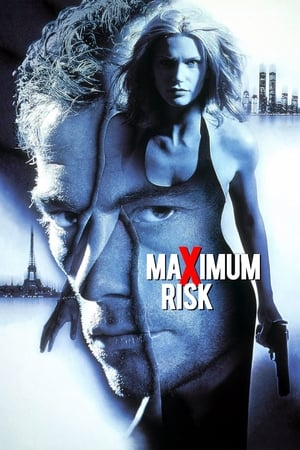 Maximum Risk (1996) Hindi Dual Audio 480p BluRay 330MB - Movierulz