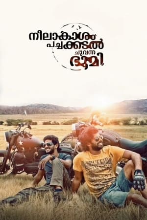 Neelakasham Pachakadal Chuvanna Bhoomi (2013) Hindi Dubbed 720p HDRip [1.4GB] - Movierulz
