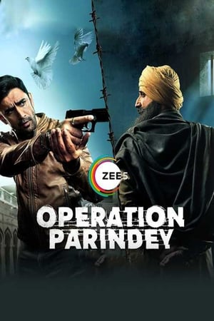 Operation Parindey 2020 Hindi Movie 480p HDRip - [200MB] - Movierulz