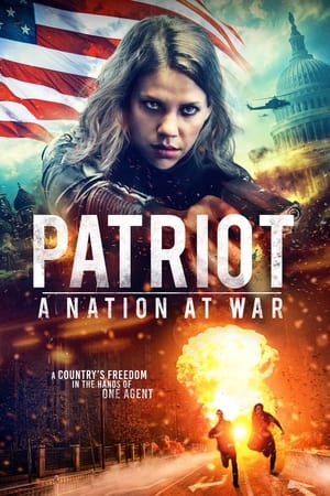 Patriot A Nation at War 2020 Hindi Dual Audio 720p Web-DL [930MB] - Movierulz