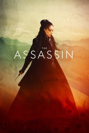 The Assassin 2015 Hindi Dual Audio 720p BluRay [1.1GB] - Movierulz