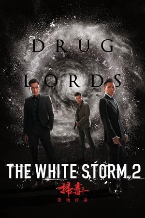 The White Storm 2: Drug Lords (2019) Hindi (Org) 480p HDRip 300MB - Movierulz