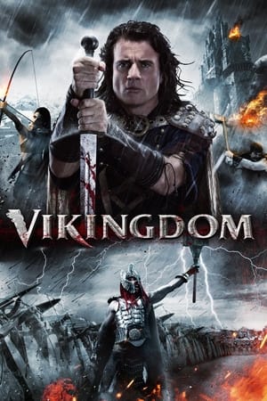 Vikingdom 2013 Hindi Dual Audio 480p BluRay 380MB - Movierulz