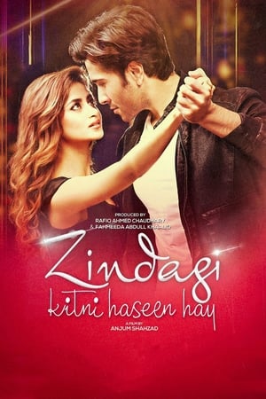 Zindagi Kitni Haseen Hay (2016) Pakistani Movie 720p HDRip x264 [980MB] - Movierulz